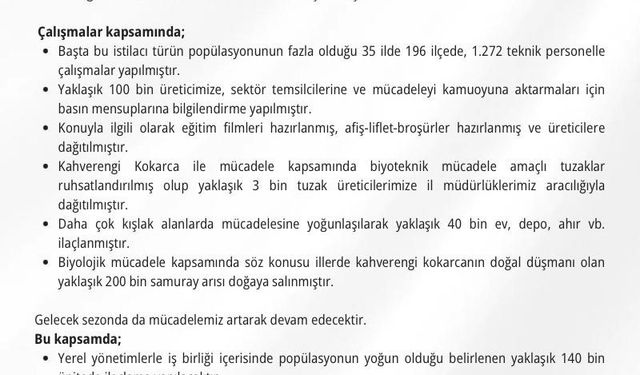 Kahverengi kokarca ile mücadele için 300 bin samuray arısı doğaya salınacak