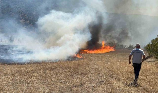 Kastamonu’da korkutan arazi yangını