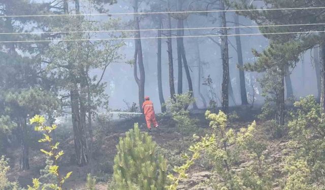 Kastamonu’da orman yangını