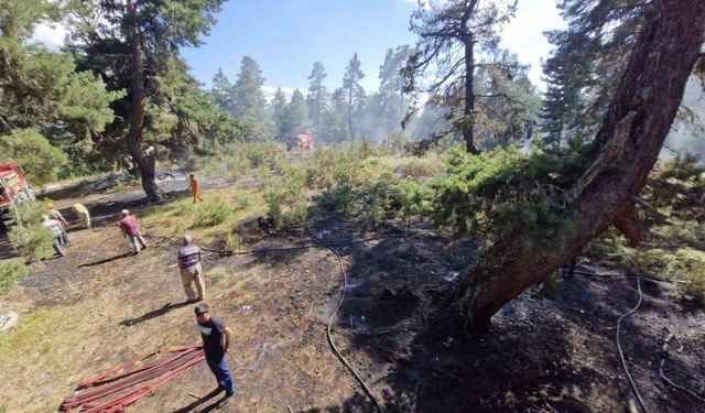 Kastamonu’da ormanlık alanda çıkan yangın büyümeden söndürüldü