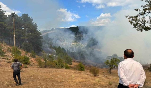 Kastamonu’daki orman yangını söndürüldü