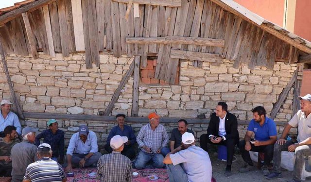 Kaymakam Demirci, yangında 14 büyükbaş hayvanın telef olduğu ahırda incelemelerde bulundu