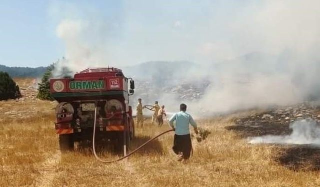 Kozan’da çıkan orman yangını kontrol altına alındı