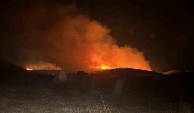 Mardin’de 2 farklı noktada çıkan anız ve ot yangını söndürüldü