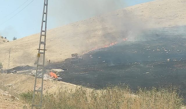 Mardin’de çıkan ot yangını söndürüldü