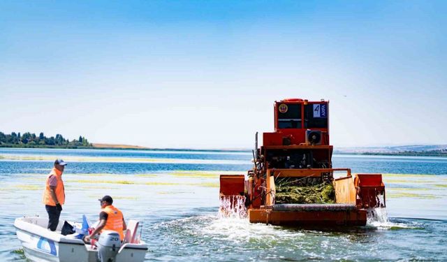 Mogan Gölü’nde temizlik çalışmaları devam ediyor