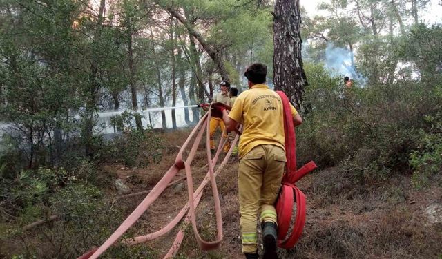 Muğla alevlere teslim oldu, Çine-Yatağan arası çift yönlü olarak trafiğe kapatıldı