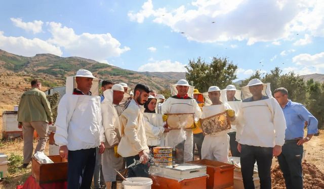 Muş’ta 600 ton bal hasadı bekleniyor