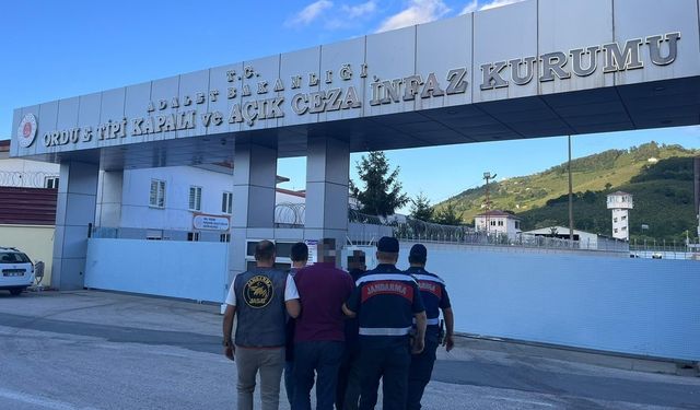 Ordu’da yasadışı kenevir ekimi yapan 2 kişi tutuklandı