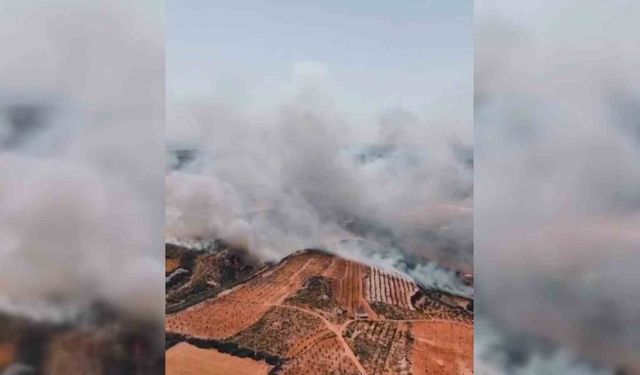 Ormanlık alana sıçrayan yangın havadan görüntülendi