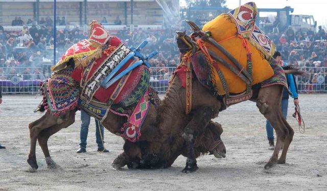 Sezonun ilk güreşi Işıklı’da yapılacak