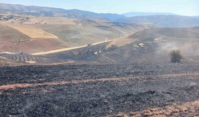 Siirt’te çıkan anız yangını söndürüldü