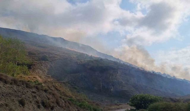 Sinop’ta örtü yangınında 5 hektar alan zarar gördü