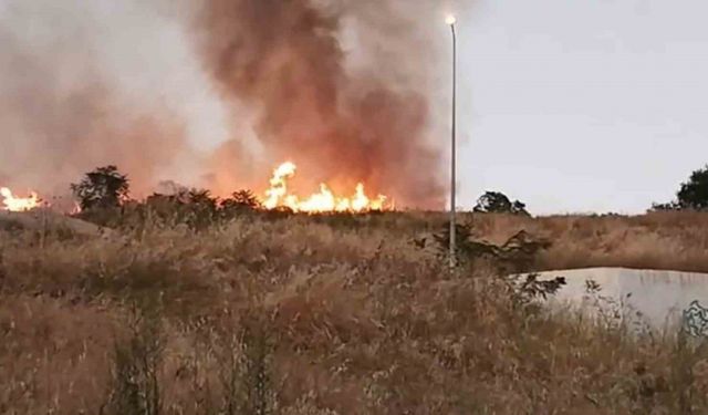 Tekirdağ’da Çırçır Tepesi’nde yangın