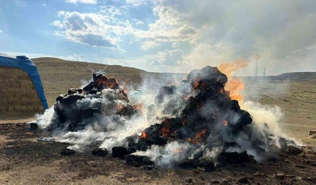 Tekman’da 600 balya ot küle döndü