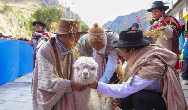 TİKA Peru’da “Alpaka Çiftliği” kurdu