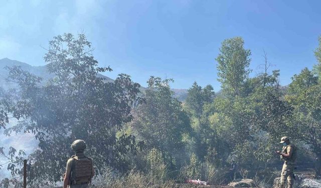 Tunceli’de çıkan örtü yangın söndürüldü