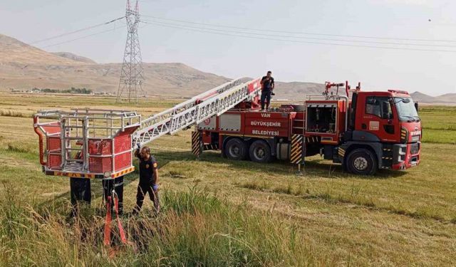 Van’da inek kurtarma operasyonu