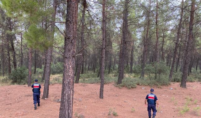 Yasak ormanlık alanlara giren 31 kişi cezadan kaçamadı