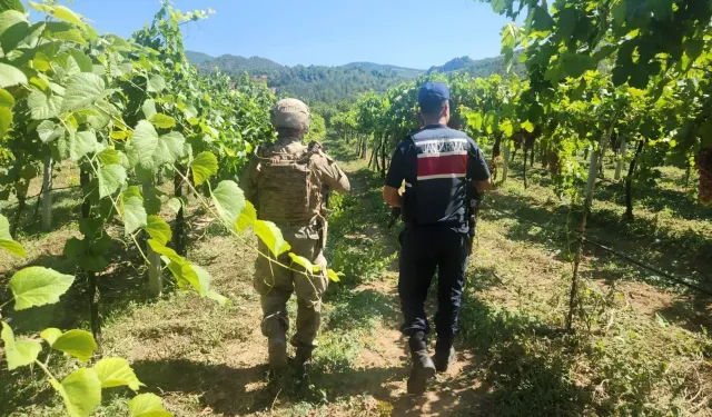 Sakarya’da Hırsızlık Olayları Azaldı