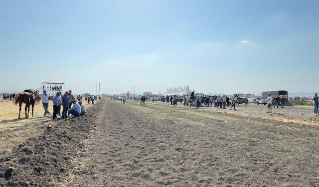 Balıkesir'de Rahvan At Yarışları düzenlendi