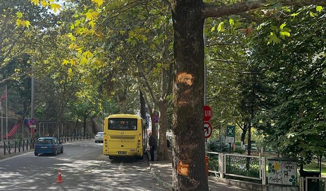 Bursa'da ağaca çarpan otobüsteki 5 yolcu yaralandı