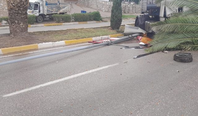 Erdek'te kontrolden çıkarak ağaca çarpan tırın sürücüsü yaralandı