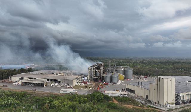 GÜNCELLEME 4 - Sakarya'da makarna fabrikasındaki patlamada 30 kişi yaralandı