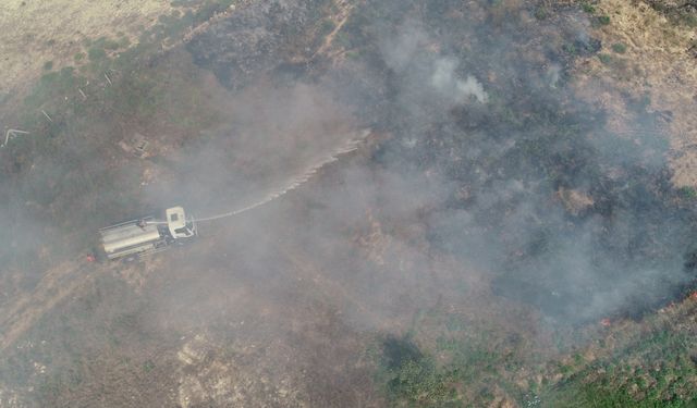 Kırklareli'nde çıkan anız yangını söndürüldü