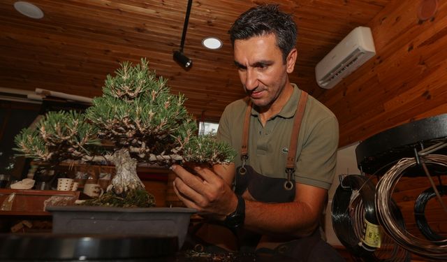 Kurumsal hayatını bırakıp estetikle botaniğin birleştiği bonsai yetiştiriciliğinde uzman oldu