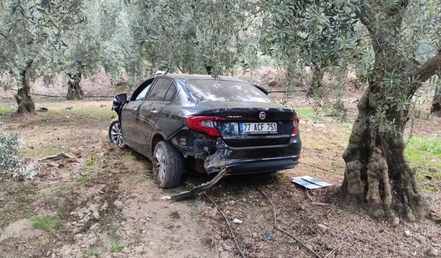 Orhangazi'de zeytinliğe savrulan otomobilin sürücüsü yaralandı