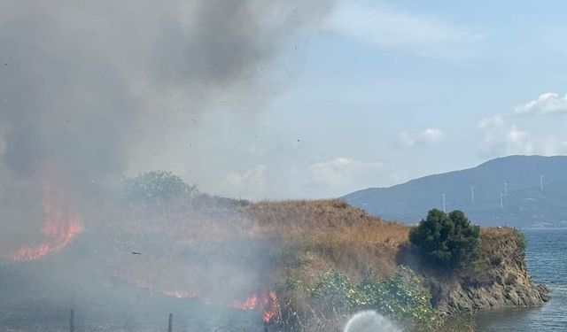 Paşalimanı'nda çıkan yangın 400 dönümlük alana zarar verdi