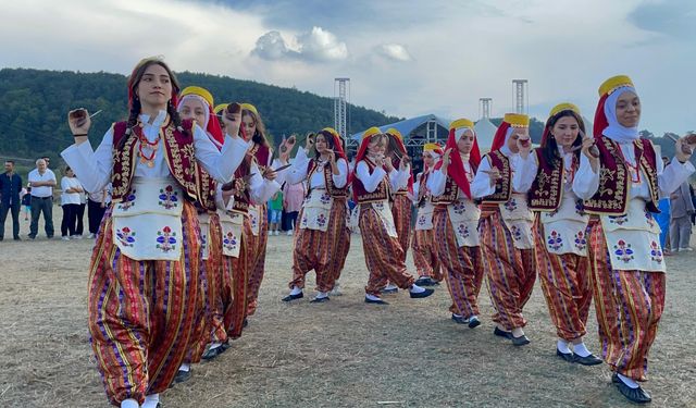 Sakarya'da Çilek Festivali düzenlendi