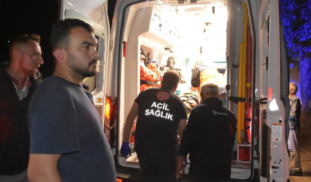 Sakarya'da otomobilin şarampole devrilmesi sonucu 2 kişi yaralandı