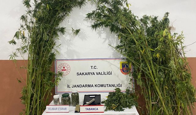 Sakarya'da uyuşturucu operasyonlarında yakalanan 3 zanlıdan 1'i tutuklandı