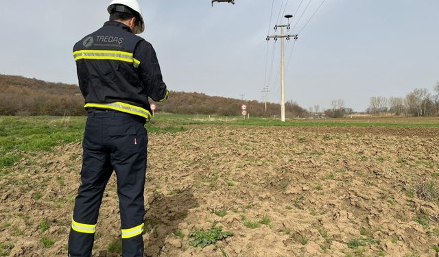 Trakya'da leylek yuvalarının bakımı termal kameralı dronla gerçekleştiriyor