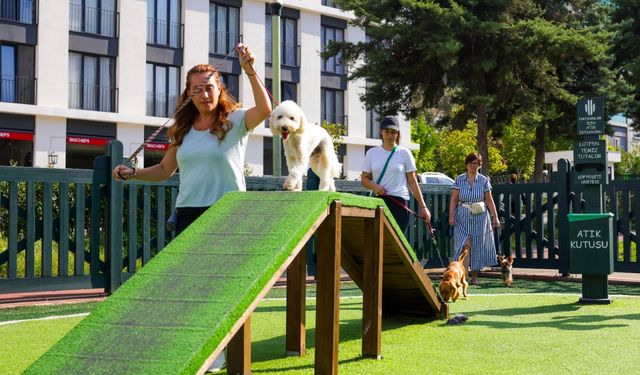 Türkiye'nin en kapsamlı köpek eğitim merkezi Ümraniye'de hizmet veriyor