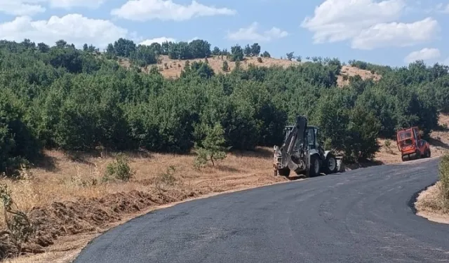 Hekimhan’da yol çalışmaları devam ediyor