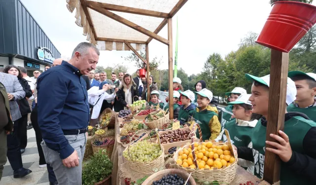 Samanlı Dağlarına 10 Kızıl geyik salındı