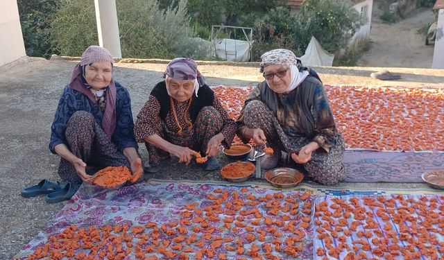 90 yaşındaki üç kadından uzun ömrün sırrı