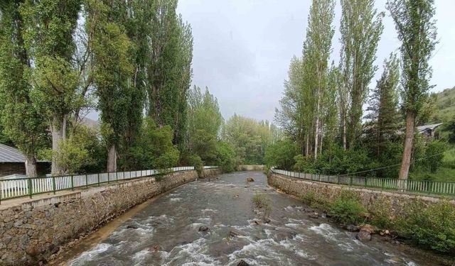 Alucra’da kayıp vatandaşın cansız bedeni derede bulundu