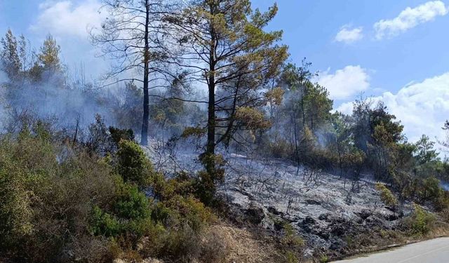 Antalya’da tarım arazisi yandı, 3 sera zarar gördü