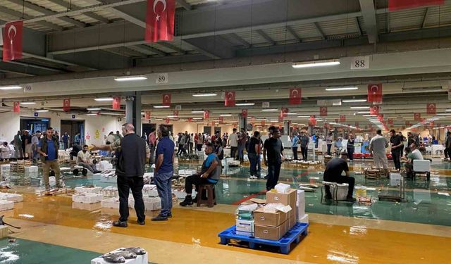 Av yasağı sona erdi, İstanbul’da sezonun ilk balıkları avlandı