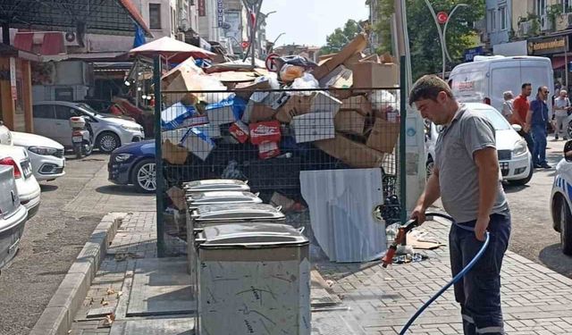 Bartın’da haşere ile mücadele sürüyor