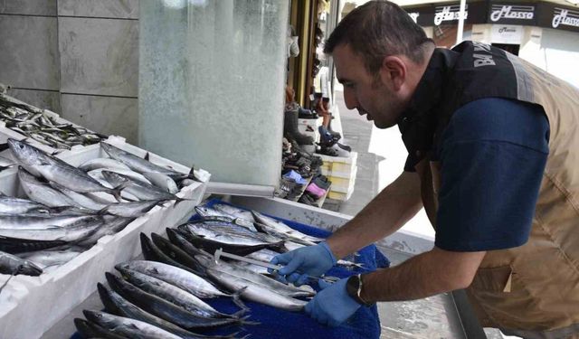 Bayburt’ta balık satışı yapılan yerlerde denetim yapıldı