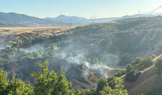 Bingöl’de orman yangını büyümeden söndürüldü