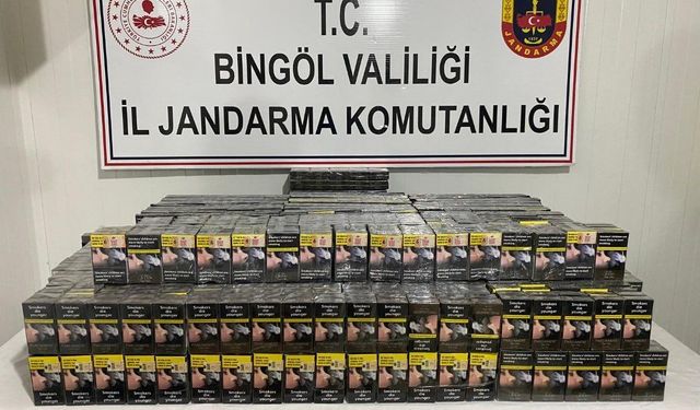 Bingöl’de silah ve kaçak sigara ele geçirildi