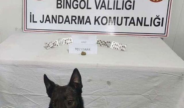 Bingöl’de uyuşturucu madde ele geçirildi