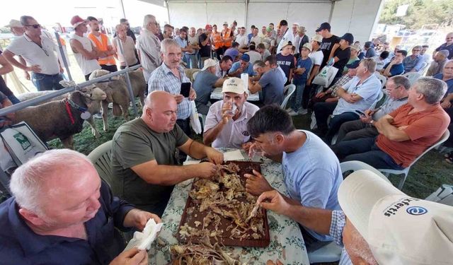 Bu da oğlak yeme yarışması: 10 kilo oğlağı çiğnemeden yediler