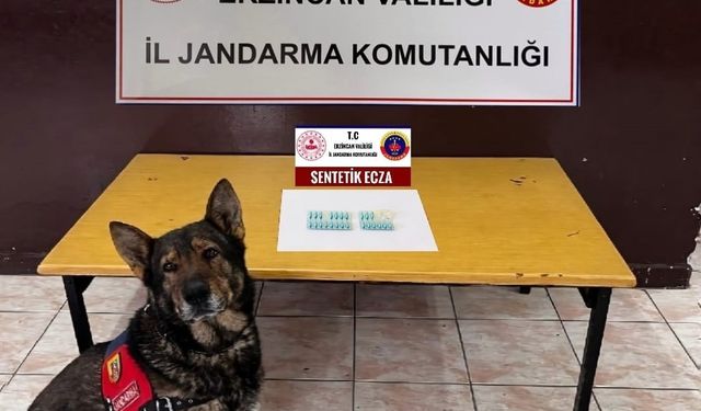 Erzincan’da jandarma mıntıkasında Ağustos ayında meydana gelen olayların yüzde 98’i aydınlatıldı